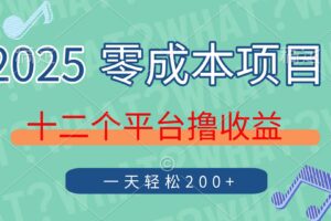 （14302期）2025年零成本项目，十二个平台撸收益，单号一天轻松200+-麦资源网