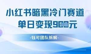 小红书冷门”暗黑”赛道，单日收益多张-麦资源网