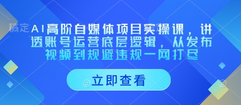 AI高阶自媒体项目实操课，讲透账号运营底层逻辑，从发布视频到规避*一网打尽