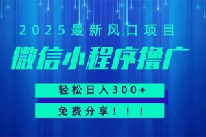 （14375期）微信小程序撸广，最新风口项目，日入300+ 免费分享 可批量操作 小白可…-麦资源网