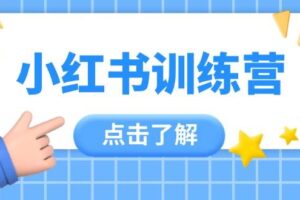 小红书训练营，助小白入门，掌握技巧变达人，课程实操又全面（12节课）-麦资源网
