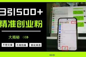 不需要我们去想文案，也不需要我们去剪辑视频，日引500+精准创业粉，方法大揭秘-麦资源网