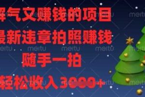解气又挣钱的项目，最新违章拍照挣钱，随手一拍，轻松收入数张【揭秘】-麦资源网