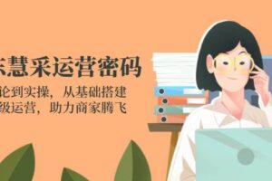 （14248期）京东慧采运营密码：从理论到实操，从基础搭建到高级运营，助力商家腾飞-麦资源网