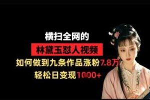 横扫全网的林黛玉怼人视频，如何做到九条作品涨粉7.8万，轻松日变现1k-麦资源网
