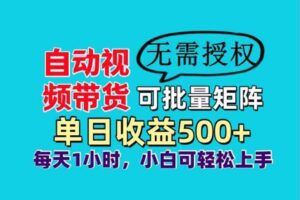 （14229期）自动视频带货，可批量矩阵，单日收益500+、轻松实现睡后收益，小白可…-麦资源网