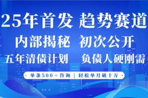 2025年首次公开，真正的事业型赛道，客咨不断，单月轻松破十-麦资源网