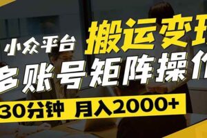 （14288期）得物平台变现新蓝海！无脑复制热门视频，多账号同步运营，每天半小时躺…-麦资源网