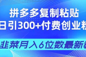 （14232期）拼多多复制粘贴日引300+付费创业粉，割韭菜月入6位数最新教程！-麦资源网