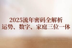 (14466期)2025流年密码全解析,运势、数字、家庭三位一体-麦资源网