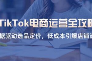 （14343期）TikTok电商运营全攻略，数据驱动选品定价，低成本引爆店铺流量-麦资源网