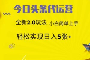 今日头条矩阵系统代运营 批量生成文章  次日见收益 躺赚月入3000+-麦资源网