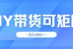 （14414期）DY带货，日入300＋矩阵无上限-麦资源网