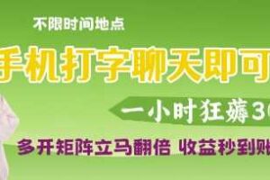 手机打字聊天即可挣钱，一小时狂薅3张，多开矩阵立马翻倍，收益秒到账【揭秘】-麦资源网