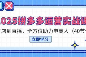 2025拼多多运营实战课，从开店到直播，全方位助力电商人（40节课）-麦资源网