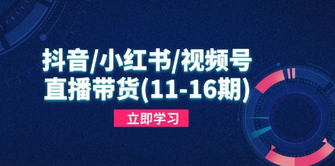 图片[1]-（14611期）抖音/小红书/视频号/直播带货(11-16期)，快速掌握平台规则，打造爆款内容