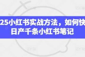 2025小红书实战方法，如何快速日产千条小红书笔记-麦资源网