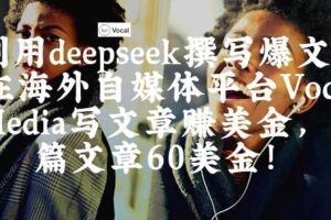 出海搞钱！利用deepseek撰写爆文，在海外自媒体平台Vocal Media写文章挣美金，一篇文章60刀-麦资源网
