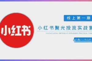 小红书聚光陪跑第一期，教你从0到1玩转小红书聚光投流，搭建小红书付费投流团队，更快的见到效果-麦资源网