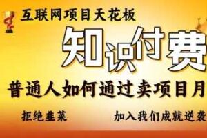 互联网项目天花板，知付付费项目，普通人如何通过卖项目月入十个，拒绝韭菜【揭秘】-麦资源网