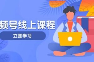 （14360期）视频号实战课程，轻IP打造与运营技巧，掌握核心方法与策略-麦资源网