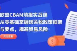 欧盟CBAM填报实战课，从零基础掌握碳关税政策框架与要点，规避贸易风险-麦资源网