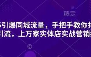 2025引爆同城流量，手把手教你抖音同城引流，上万家实体店实战营销经验-麦资源网