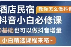 抖音本地生活酒店民宿运营，0基础也可以做抖音增量-麦资源网
