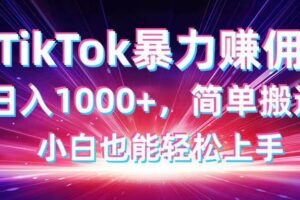 （14402期）TikTok搬运暴力赚佣，日入1000+，简单搬运，小白也能轻松上手-麦资源网
