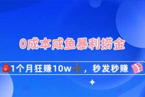 0成本闲鱼暴利捞金，1个月狂赚10W+，秒发秒赚新玩法-麦资源网