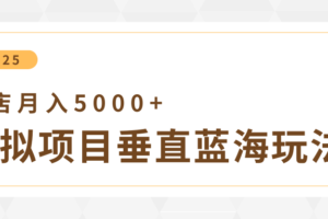 4月虚拟项目垂直玩法，冷门爆品+垂直蓝海，单店月入5000+-麦资源网