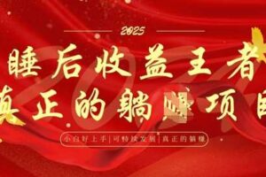 全网首发，面试辅导项目，每月被动收益，自己做老板，全流程AI化，轻松月入过W+-麦资源网