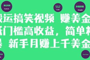 搬运搞笑视频挣美金，低门槛高收益，简单粗暴新手月入上千美刀-麦资源网