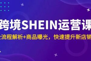 （14832期）跨境SHEIN运营课，全流程解析+商品曝光，快速提升新店销量-麦资源网