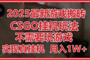 2025最新游戏搬砖，CSGO挂G，不需要玩游戏，实现真挂G，月入1W+【揭秘】-麦资源网