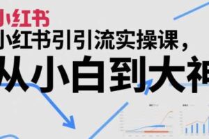 小红书引流实操课，从小白到大神-麦资源网