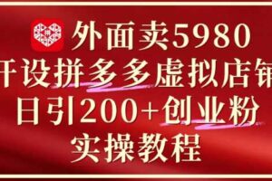 外面卖5980开设拼多多虚拟店铺：单日引流200+创业付费粉实战教程-麦资源网