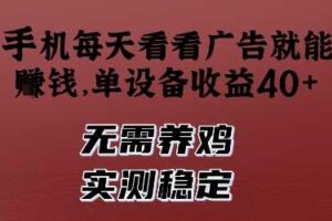 手机每天看看广告就能挣钱,单设备收益40+,无需养鸡,实测稳定【揭秘】-麦资源网