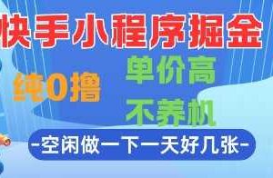 快手小程序掘金，纯0撸，单价高不养机 利用空闲时间做一做，一天好几张【揭秘】-麦资源网