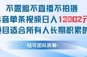 不露脸不直播不拍摄抖音单条视频日入1k+这个项目适合所有人长期积累的项目-麦资源网