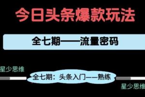 头条系列全七期项目拆解，全是干货，新手从0-1必经过程，99的人会踩的坑-麦资源网