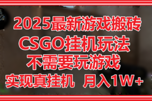 2025最新游戏搬砖，CSGO挂机，不需要玩游戏，实现真挂机，月入1W+-麦资源网