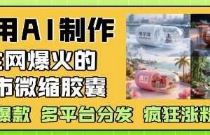 利用AI制作全网爆火的城市微缩胶囊,条条爆款, 多平台分发,疯狂涨粉变现-麦资源网