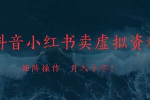 抖音小红书卖虚拟资料，市场需求一直存在，矩阵操作，月入1w+-麦资源网