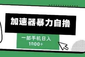 205新风口，加速器暴力自撸，单机日入1k+【揭秘】-麦资源网