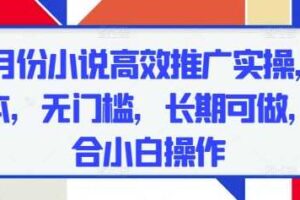 五月份小说高效推广实操,0成本,无门槛,长期可做,适合小白操作-麦资源网