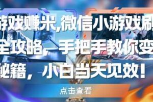 玩游戏挣米，微信小游戏刷广告全攻略，手把手教你变现秘籍，小白当天见效-麦资源网