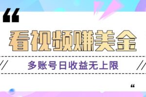 看视频赚美金项目，手机可挂机操作，多账号日收益无上限-麦资源网