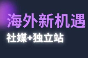 2025出海新机遇(社媒+独立站)，海外新机遇，实现独立站的高效运营与出海-麦资源网