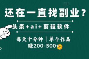 头条全新玩发加持软件搬视频，每天十分钟，单个作品收入200-500左右-麦资源网